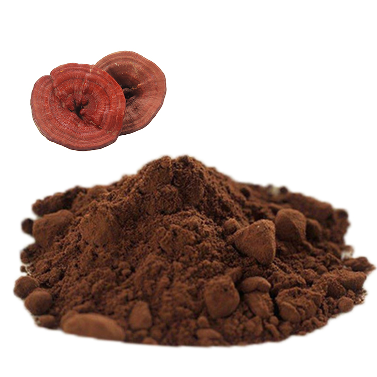 Fine Grind Organic Red Reishi Mushroom Powder for Maximum Absorption